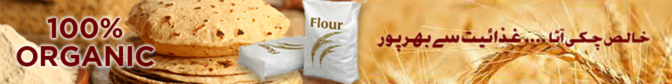 Whole Grain Flour